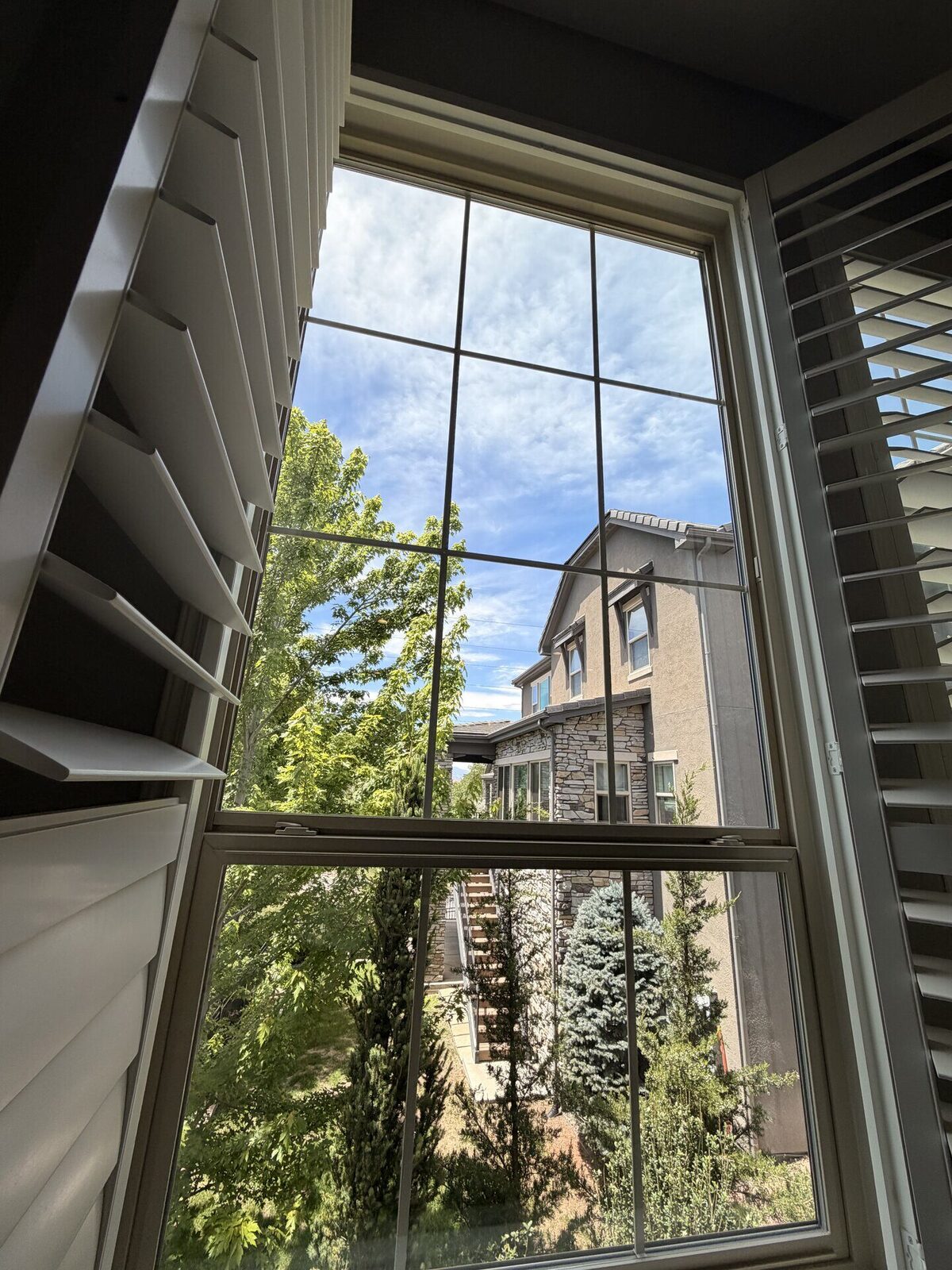 Freshly cleaned divided-pane window with a clear view outside