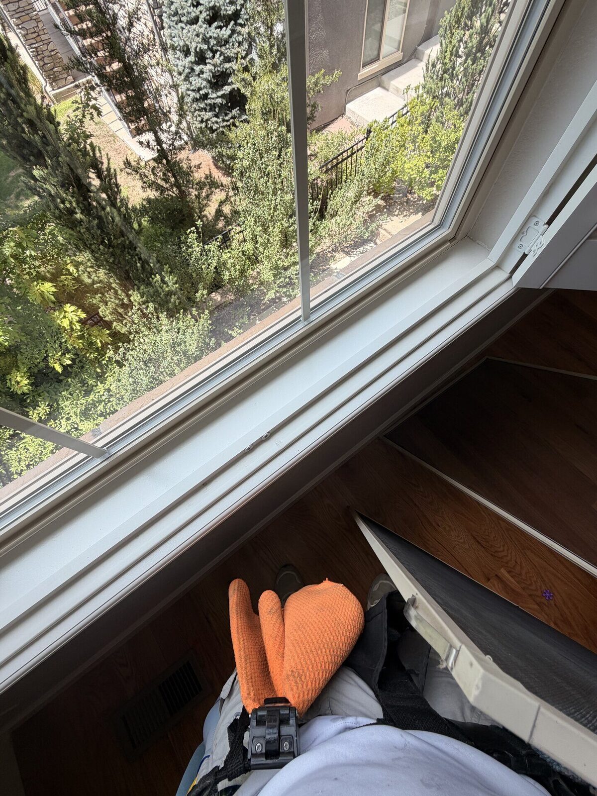 Clean open window with clear view of landscaping
