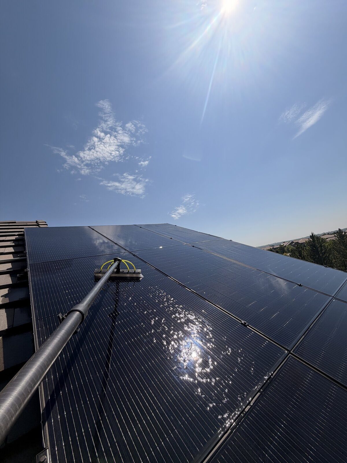 Solar panels being washed with a soft-bristle water-fed brush